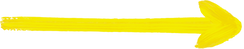 Yellow Painted Arrow
